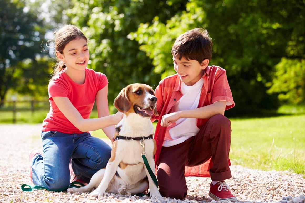 Two kids patting a dog sitting on the pebbled playground