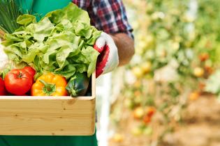 A box filled with fresh vegetables, related to the Kansas Food Policy Council Project