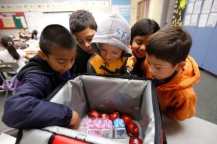 Five children looking into a cooler box containing milk and apples