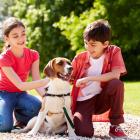 Two kids patting a dog sitting on the pebbled playground